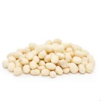 سویا روکش پنیر سفید 500 گرم (کد366)