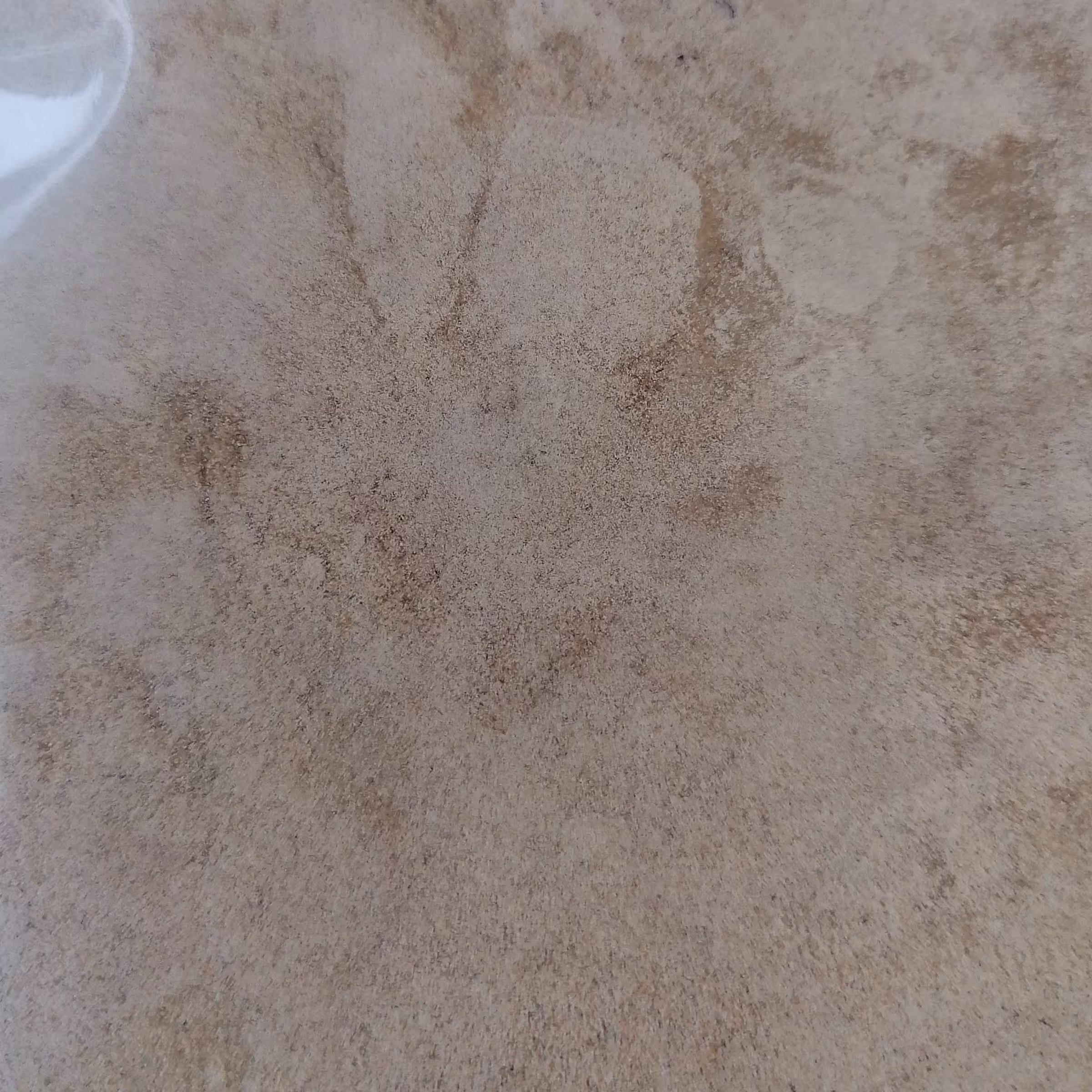 پودر پیاز  اعلا آسیاب شده از پیاز های تازه و سالم (وزن 68 گرم) 