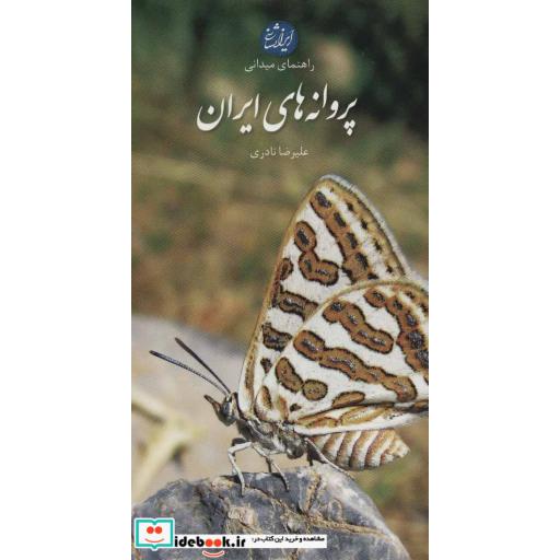 کتاب پروانه های ایران (راهنمای میدانی)،(گلاسه) اثر علیرضا نادری