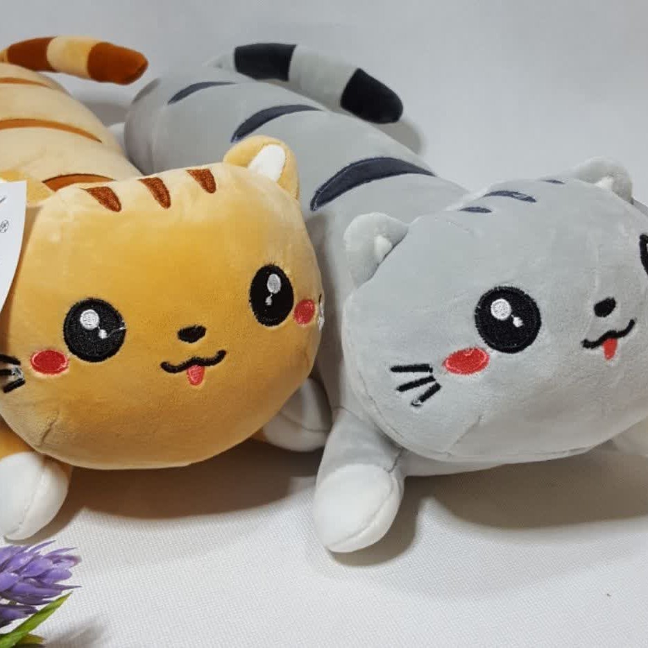 عروسک گربه لوله ای