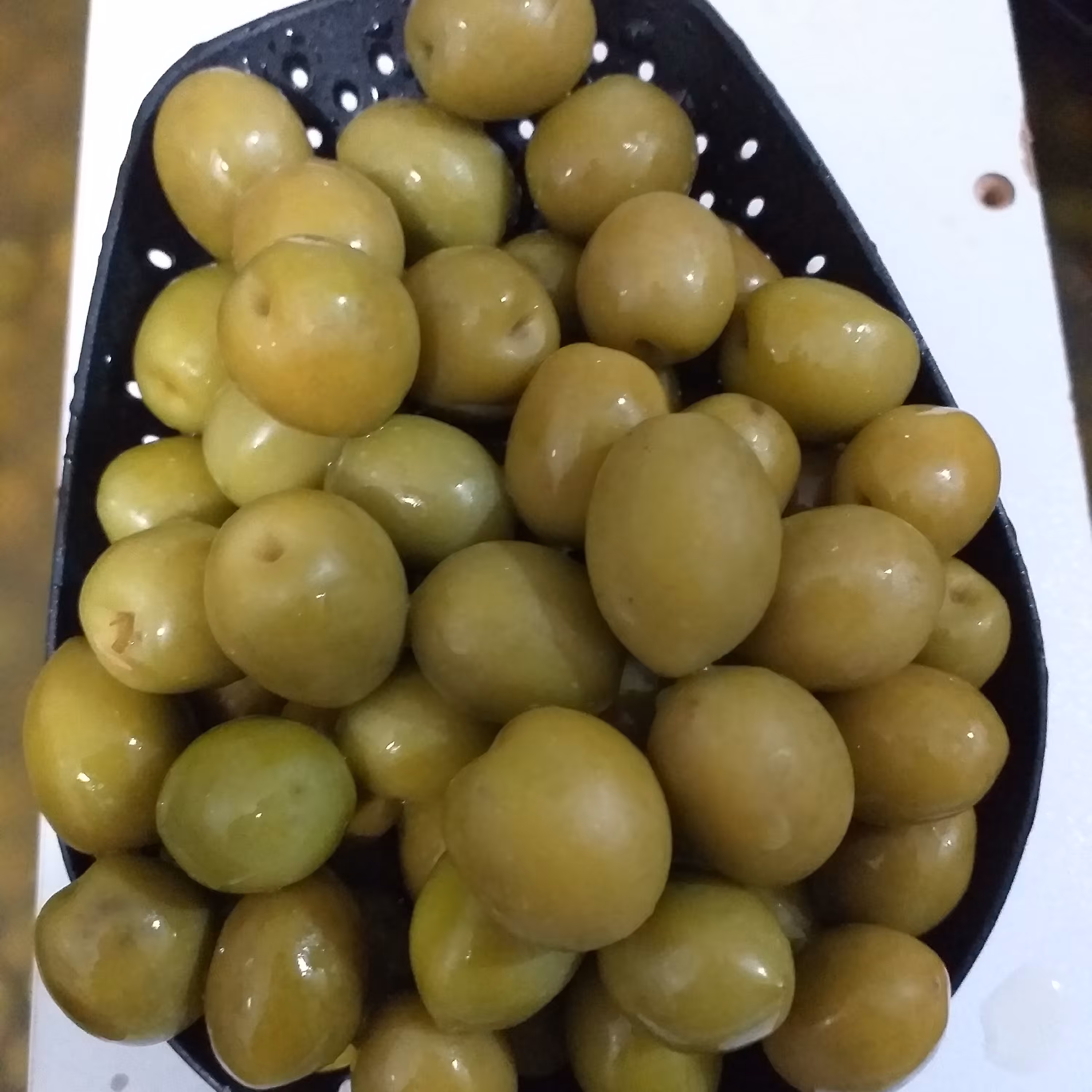 زیتون طارم کنسروی سایز متوسط 