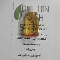 روغن گلنار فارسی 