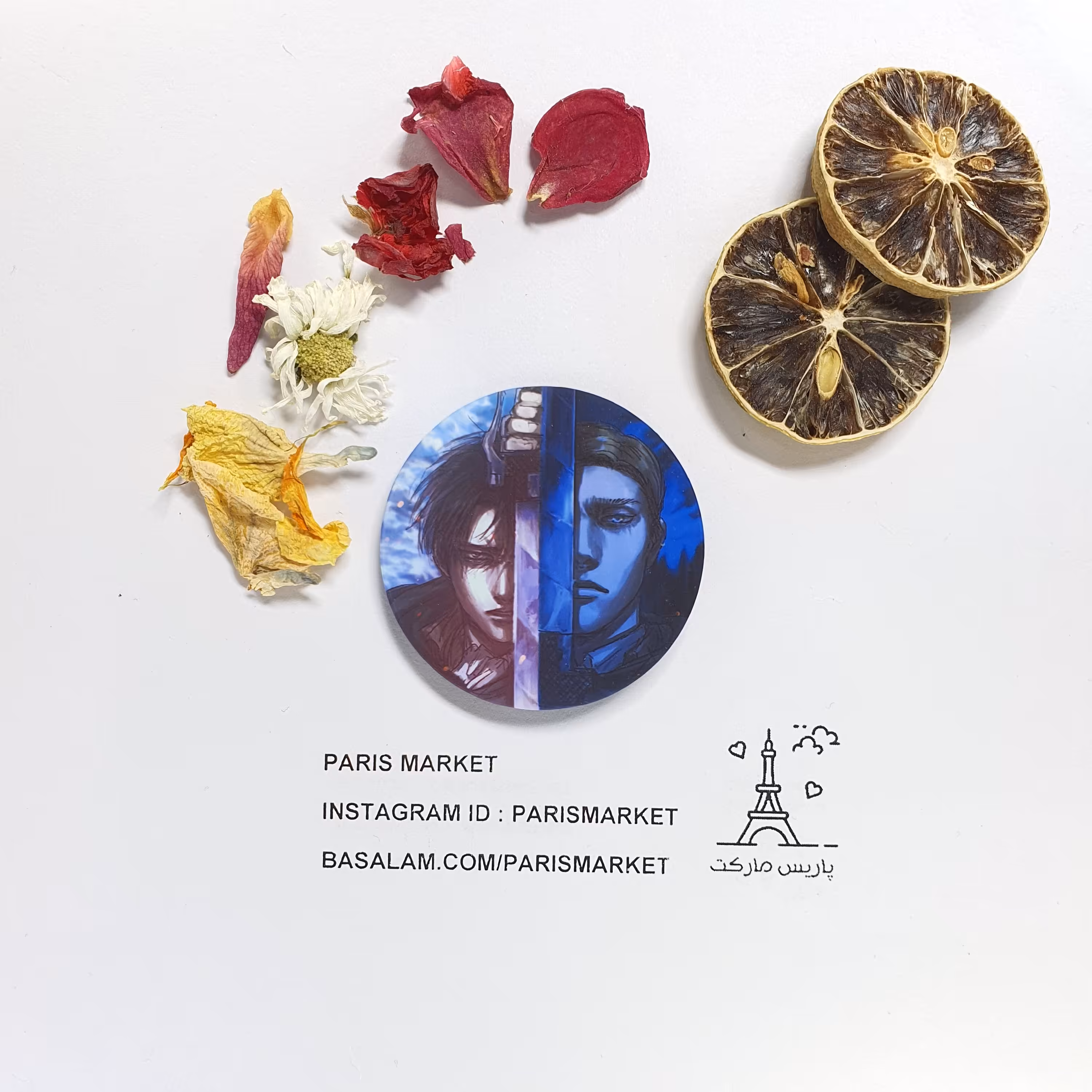 پیکسل طرح لیوای آکرمن levi ackerman و اروین erwin از انیمه اتک آن تایتان attack on titan کد 2010 کیفیت عالی 