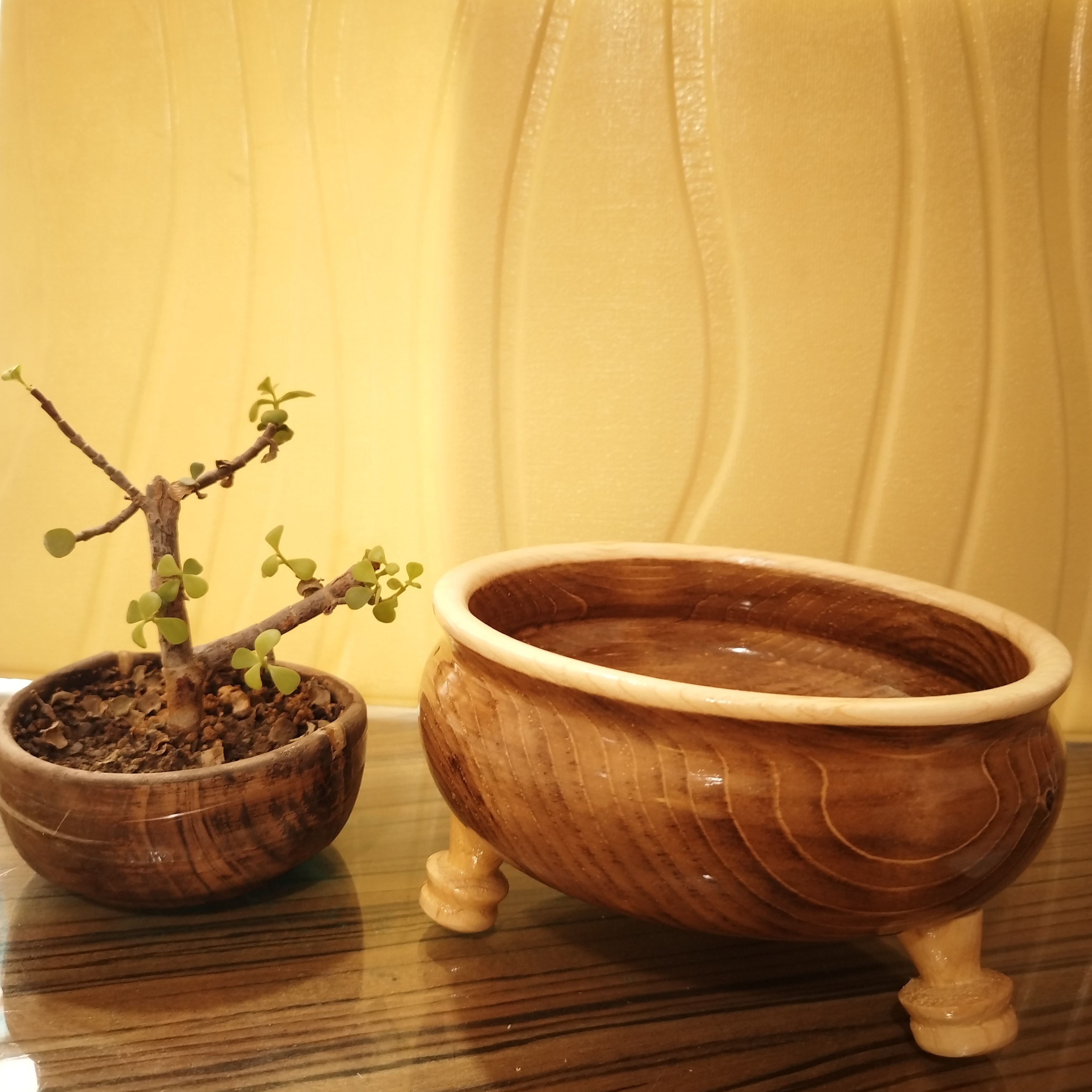 شکلات خوری چوبی