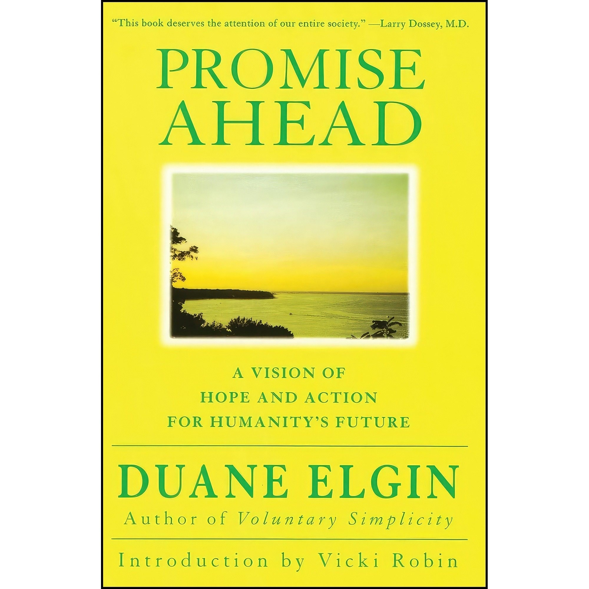 کتاب زبان اصلی Promise Ahead اثر Duane Elgin