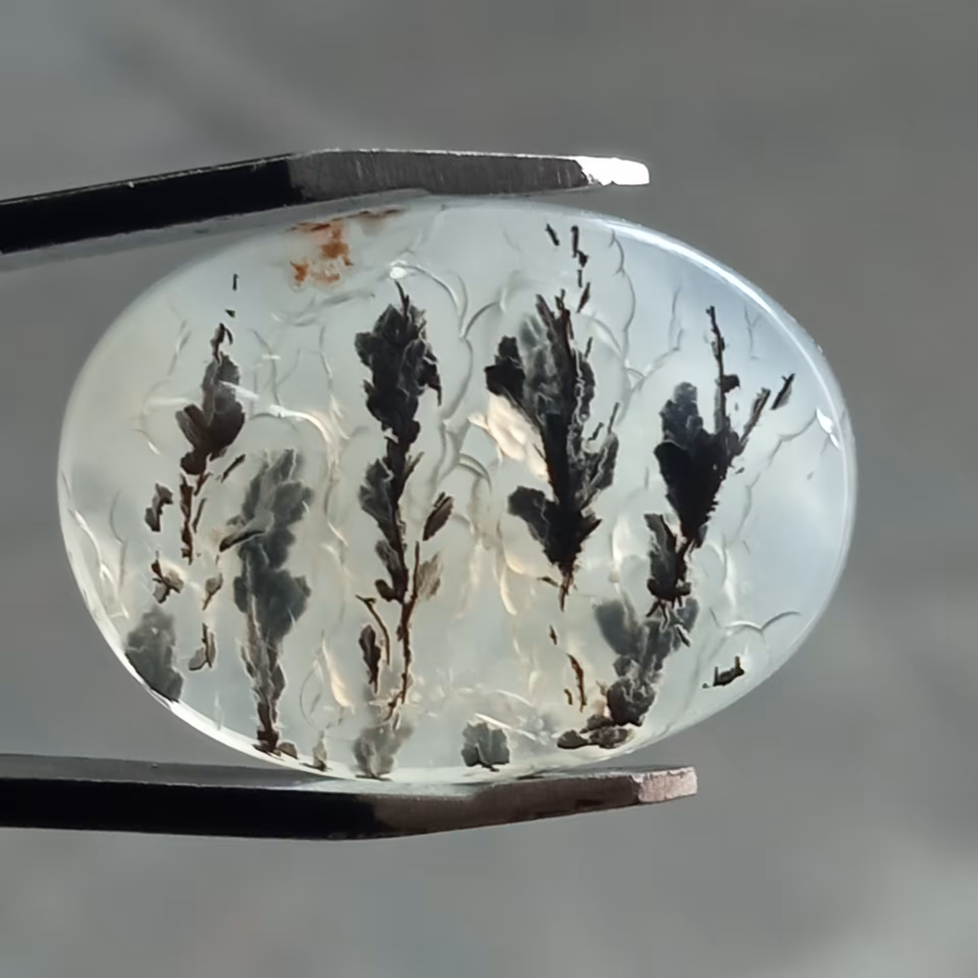 نگین زیبای شجر قائن (کف نگین ترک داره)