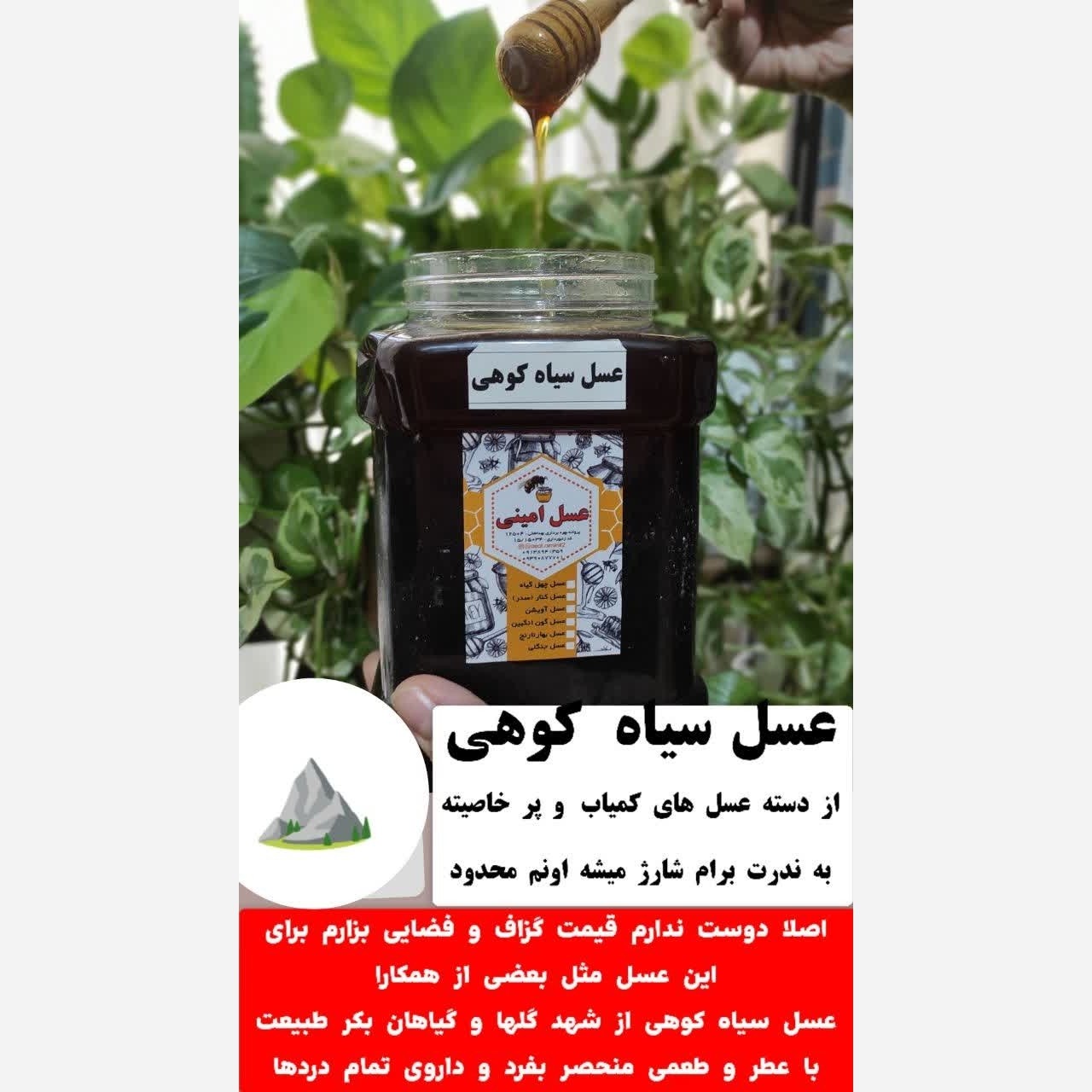 عسل وحشی( سیاه)