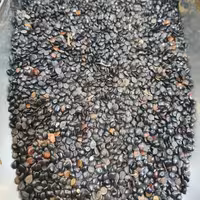 چشوم هندی 50 گرم  چشم هندی 