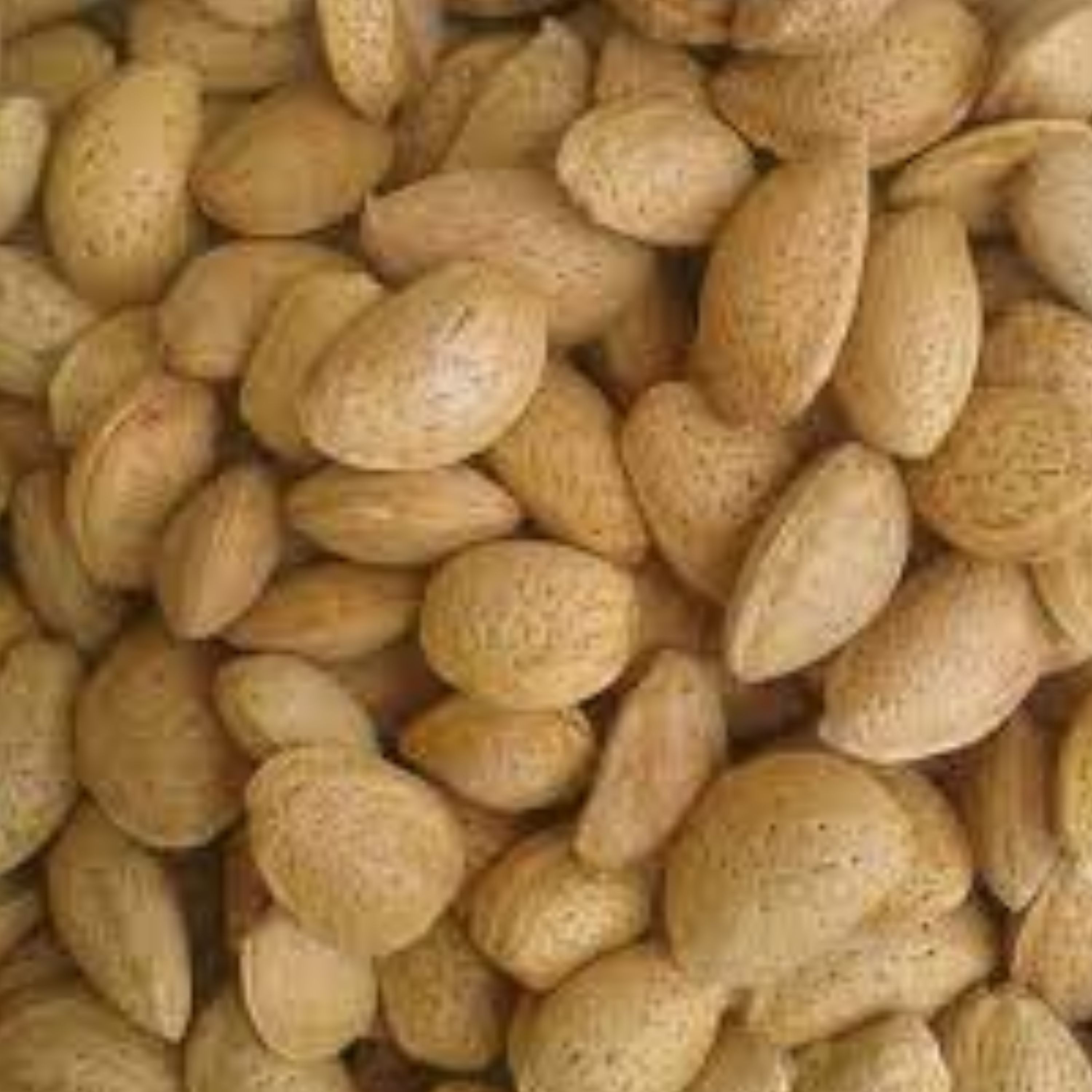 بادام سنگی شیرین اعلا(محله گل و بلبل )500گرمی محصول بهشت ایران زمین