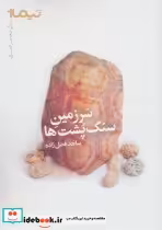 قیمت و خرید کتاب سرزمین سنگ پشت ها اثر ساجد فضل زاده | ایده بوک