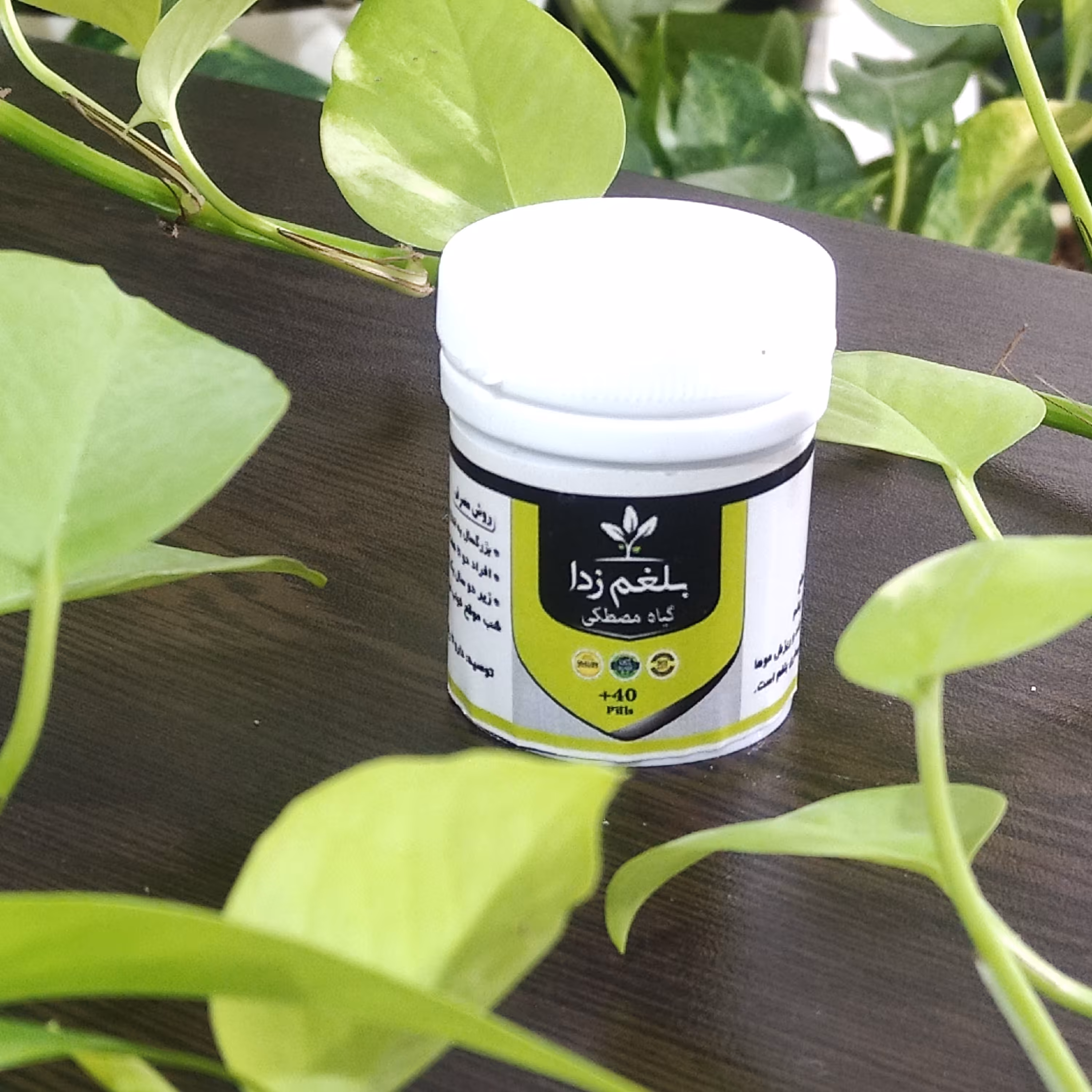 بلغم زدا (مصطکی)