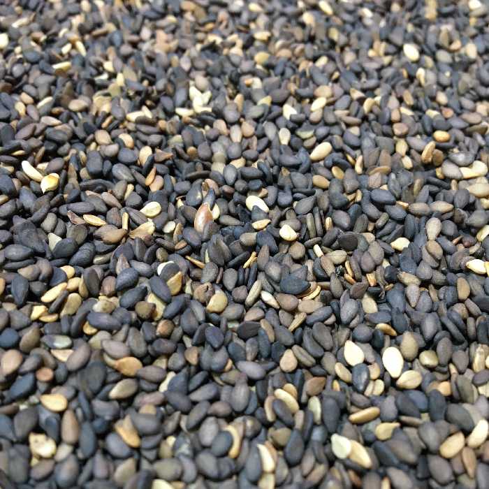 کنجد بوداده بی نمک500 گرم