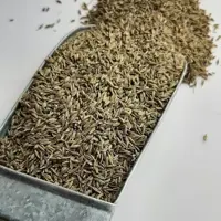 زیره سبز  صبا،  فله، بسته 5 کیلوئی،  رنگ و  عطر عالی