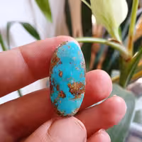 فیروزه نیشابوری کد 2