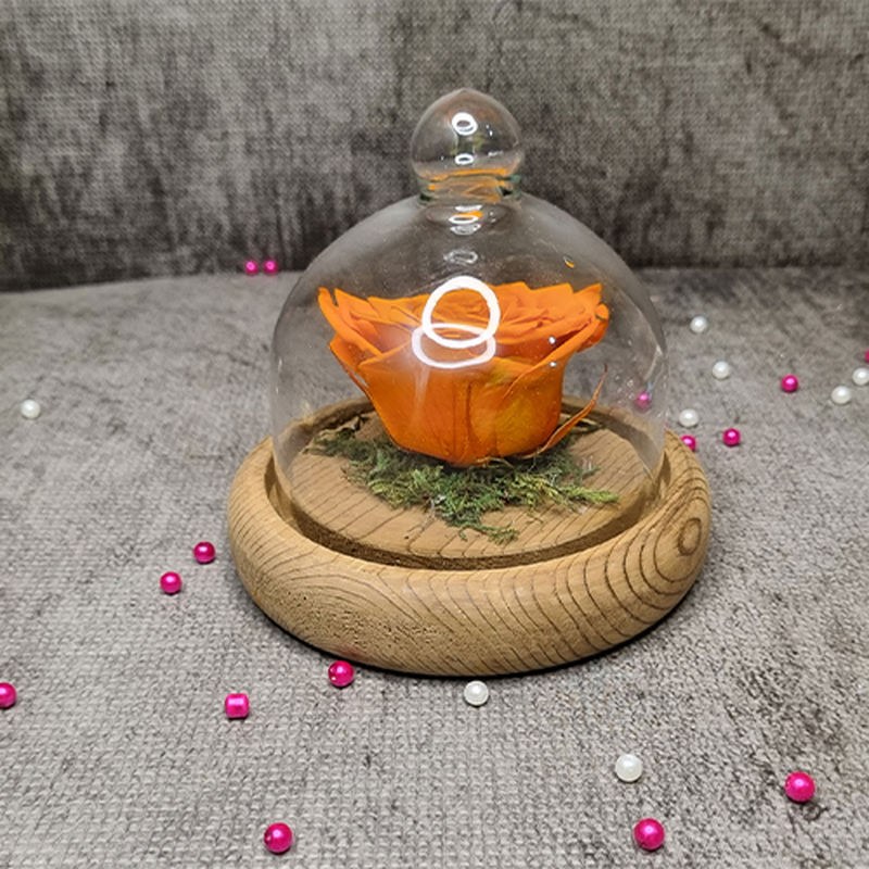 گل رز جاودان نارنجی باکس شیشه ای نگین دار