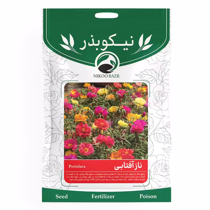 تخم گل نازآفتابی نیکوبذر