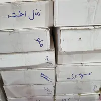 لواشک میوه ای کارتنی عمده با طعم زرشک همراه با ارسال سریع و تضمین کیفیت 