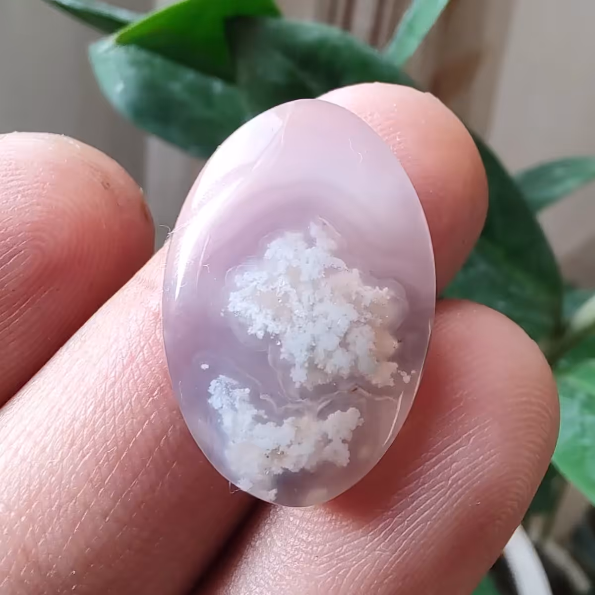 نگین عقیق شجر دار یاسی