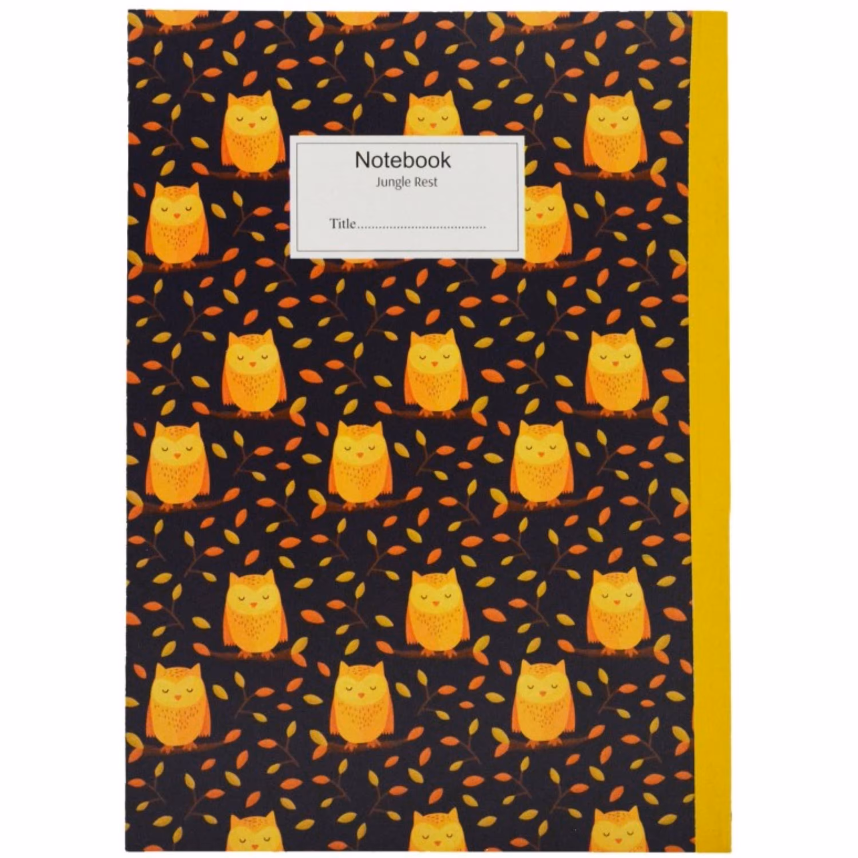 دفتر مشق 60 برگ پاپکو مدل پرونوت طرح 3