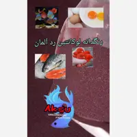 رنگدانه قرمز رنگ قناری و  قزل الا سالمون  و تخم مرغ  لوکانتین رد المان حاوی کانتازانتین 500 گرمی