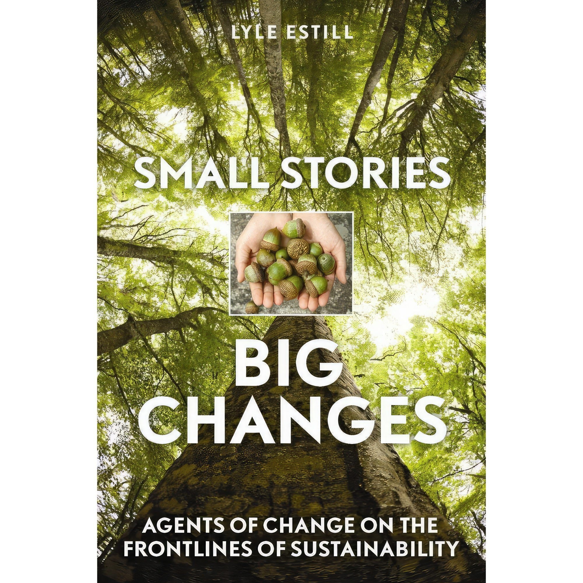 کتاب زبان اصلی Small Stories Big Changes اثر Lyle Estill and David W Orr