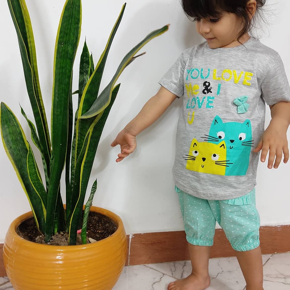 تیشرت و شلوارک گربه