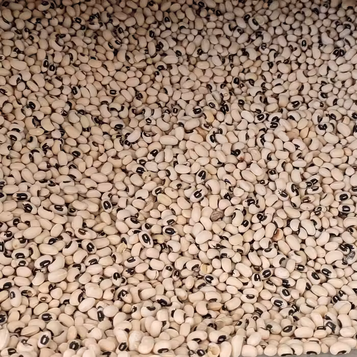 لوبیا  چشم بلبلی (دو کیلو)