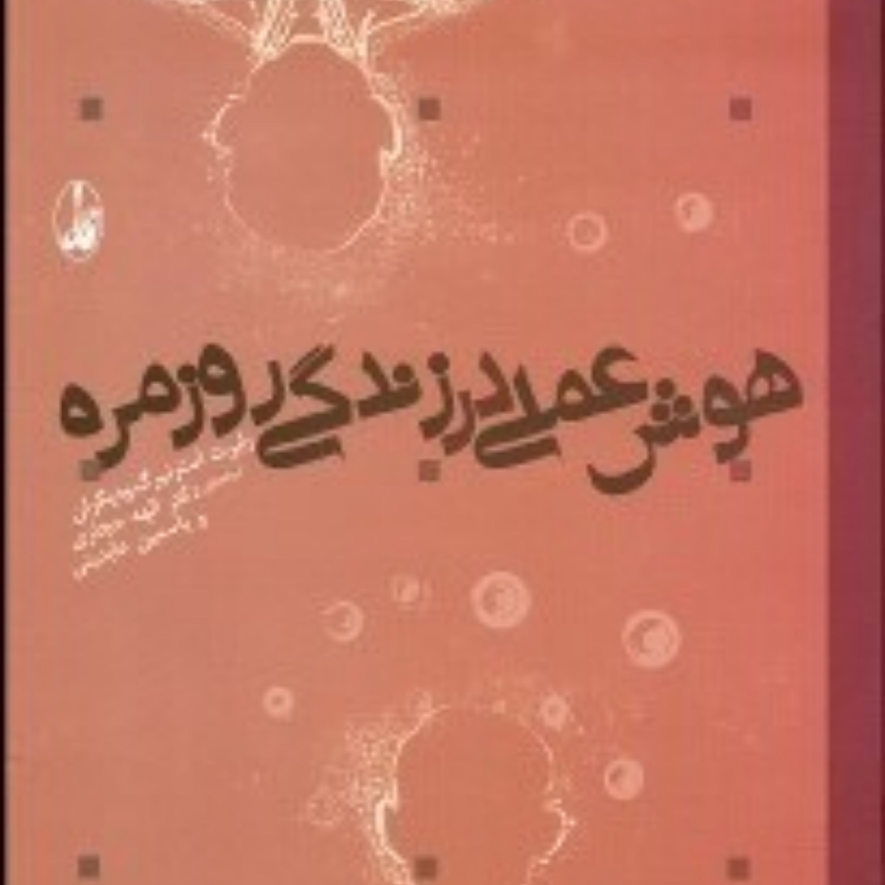 کتاب هوش عملی در زندگی روزمره اثر رابرت استرنبرگ ترجمه الهه حجازی نشر آگاه
