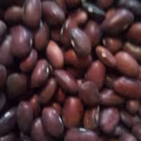 لوبیا قرمز خوش پخت