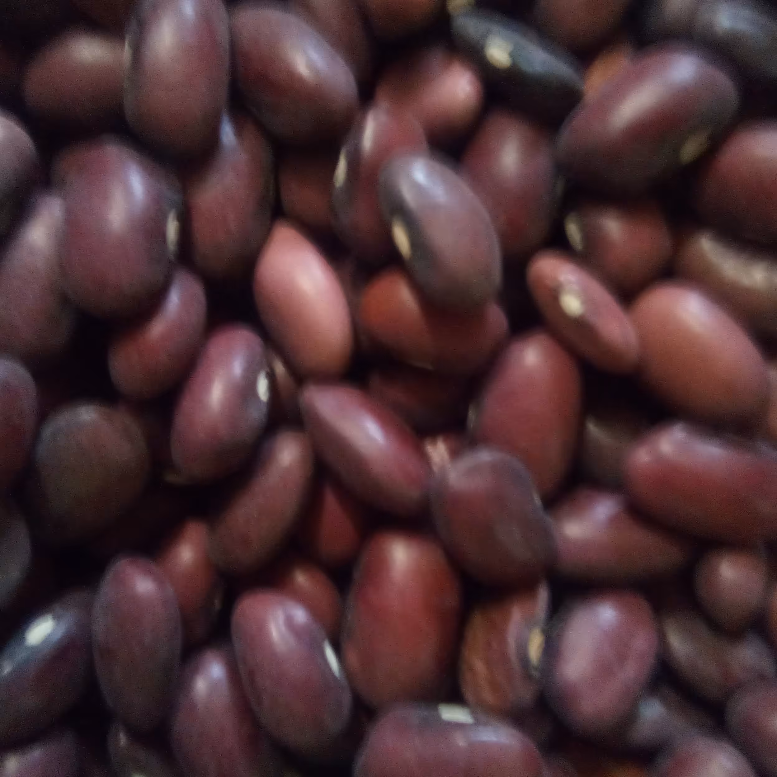 لوبیا قرمز خوش پخت