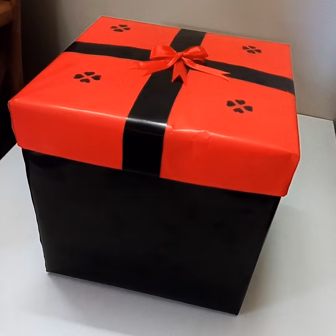 جعبه کادویی  (هزینه ی ارسال پس کرایه)