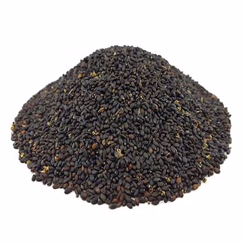 بذر ریحان بنفش ( 19 گرمی )