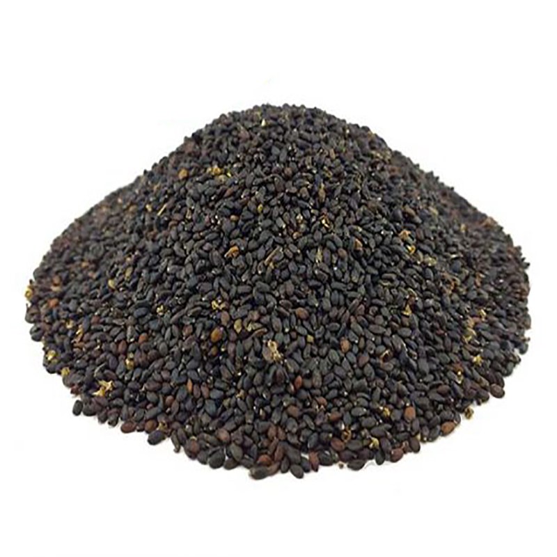 بذر ریحان بنفش ( 19 گرمی )