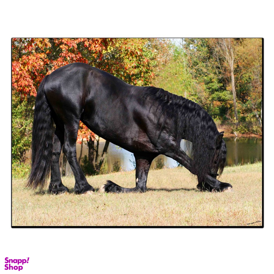 تابلو شاسی بکلیت طرح منظره اسب سیاه مدل SH-11813