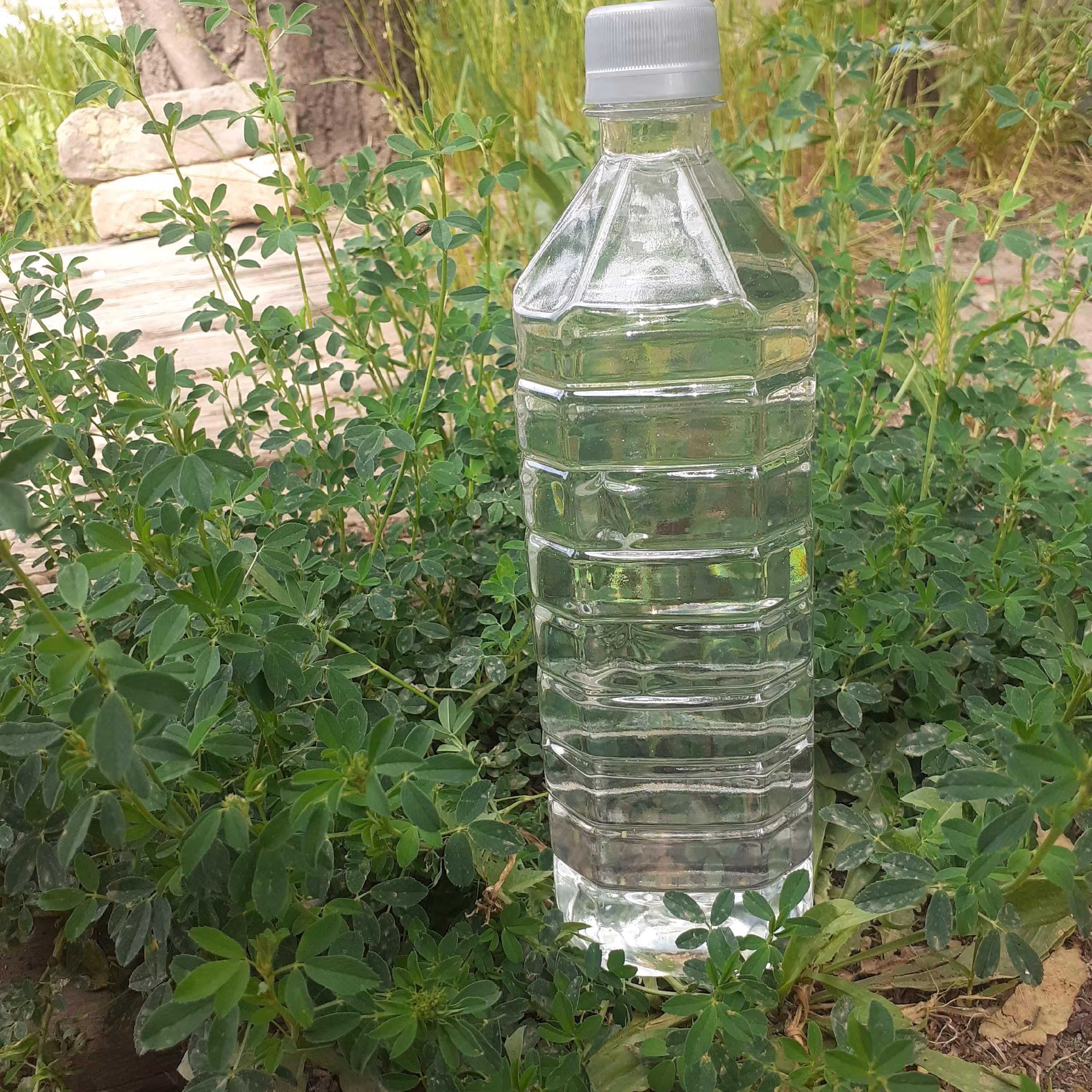 عرق یونجه خانگی یک لیتر