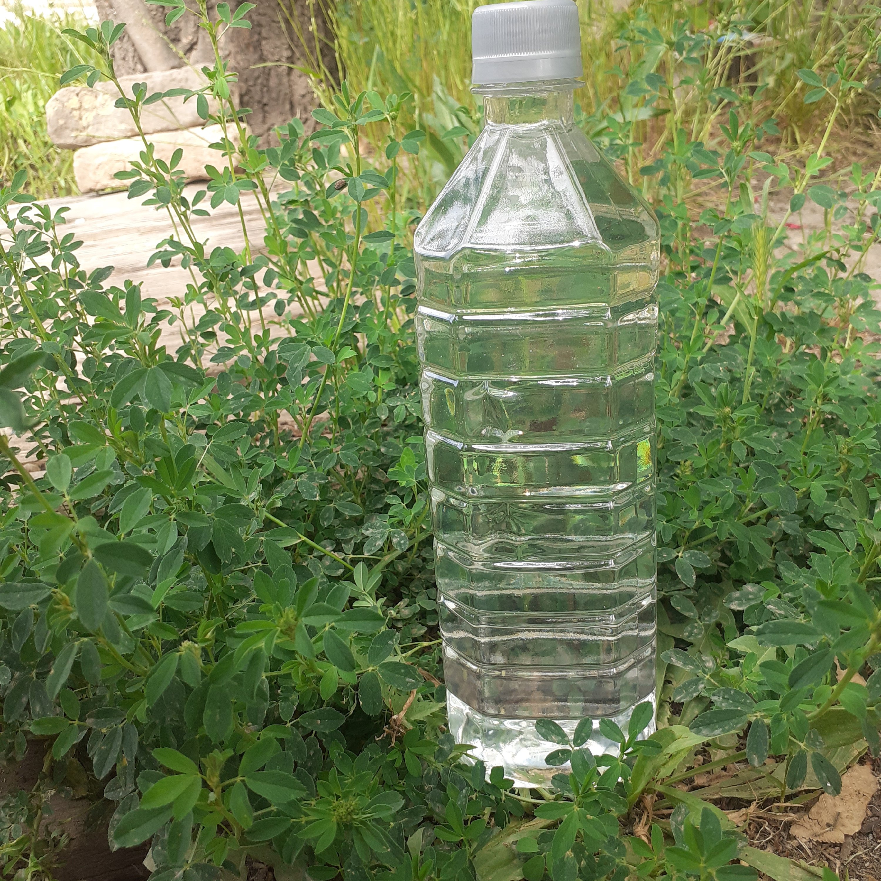 عرق یونجه خانگی یک لیتر