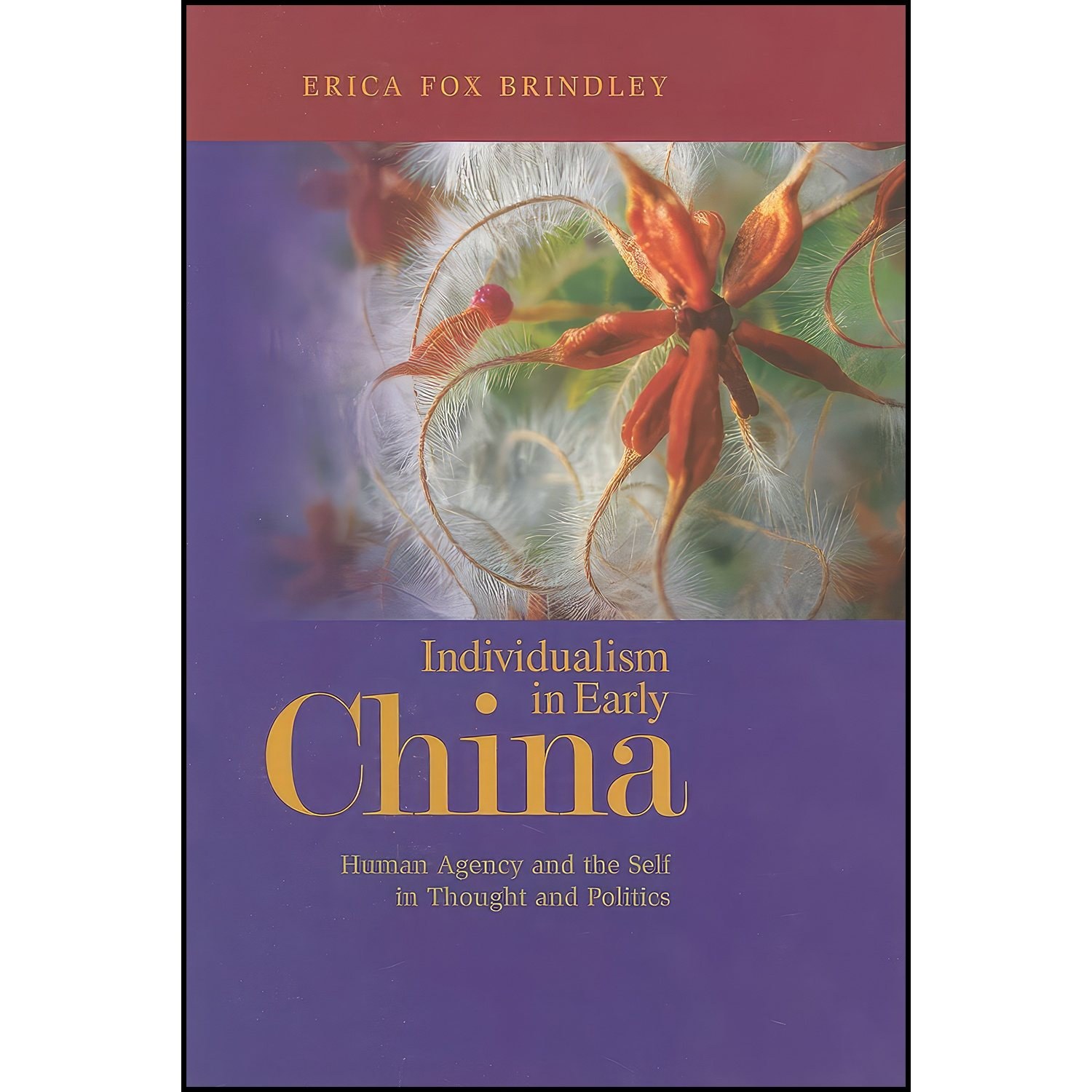 کتاب زبان اصلی Individualism in Early China اثر Erica Brindley