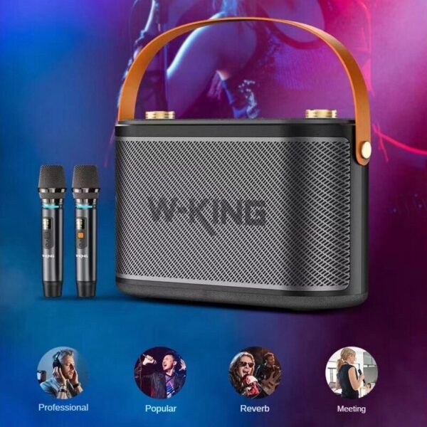 اسپیکر بلوتوث دبلیو کینگ W-King H10S توان 80 رم و فلش خور با میکروفون