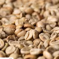 قهوه سبز اعلا (10کیلویی)