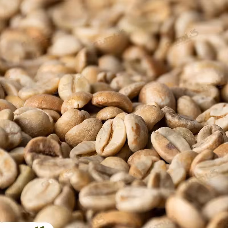 قهوه سبز اعلا (10کیلویی)