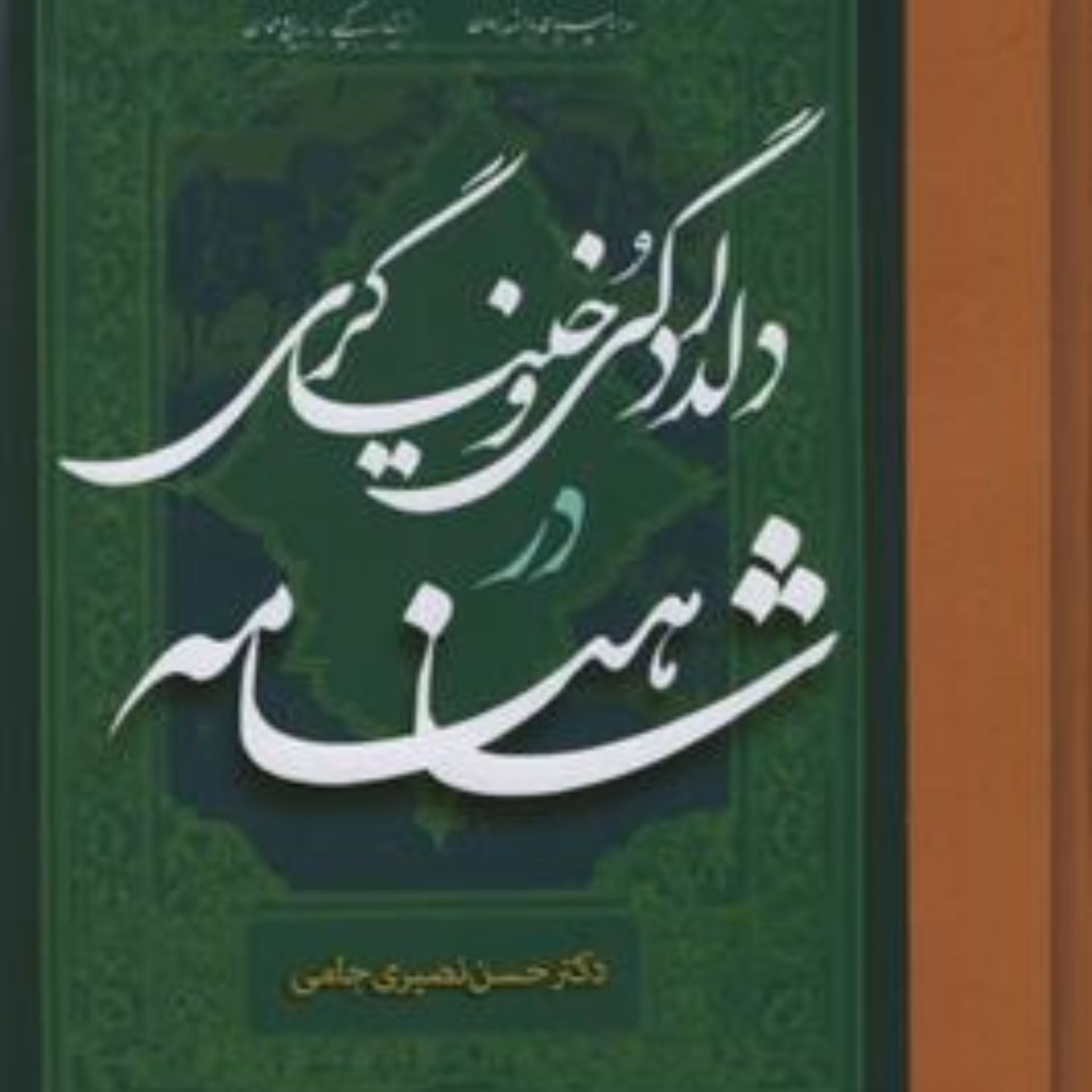 کتاب دلدادگی و خنیاگری در شاهنامه اثر دکتر حسن نصیری جامی نشر مولی