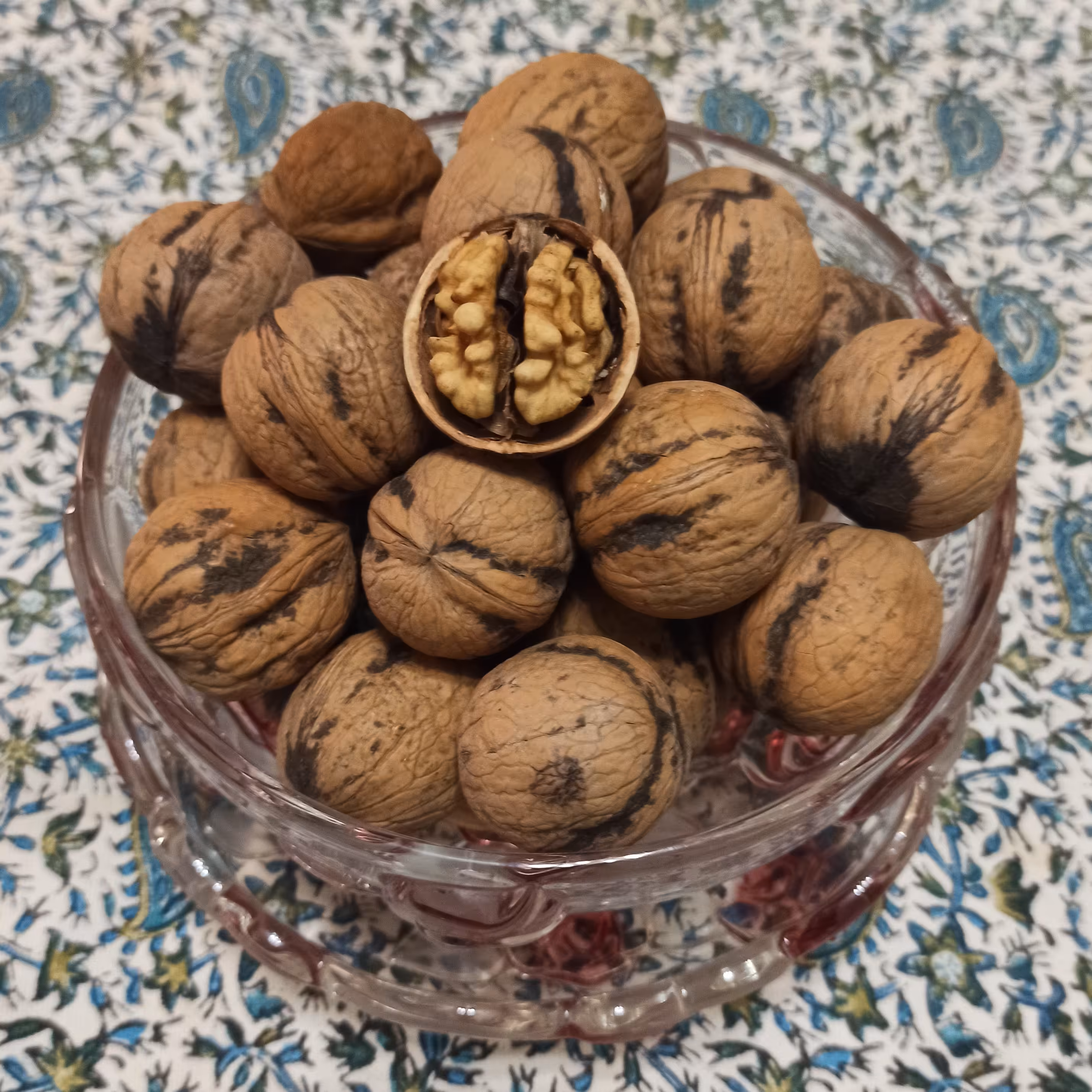 گردوی ایرانی امسالی چرب و پر روغن  بسته 1000 گرمی (محصول باغ های ضیاء آباد قزوین)