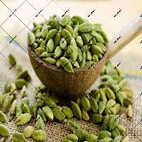 هل سبز اکبر بنفش 100 گرمی تاریخ جدید