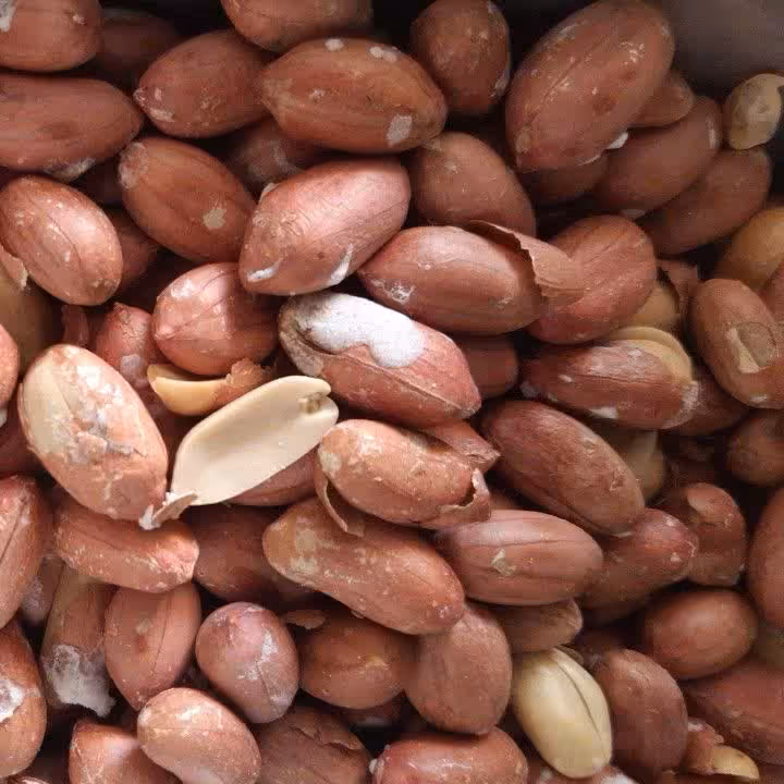 بادام زمینی استانه درشت و درجه 1 (1000گرم)