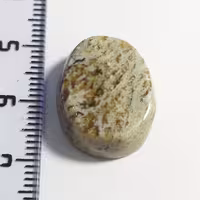 نگین عقیق شجر خزه ای بسیار زیبا و دیدنی با کیفیت و قیمت عالی