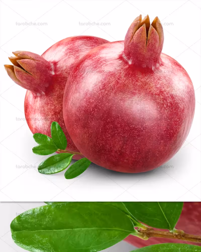 عکس انار سرخ با کیفیت | گرافیک با طعم تربچه