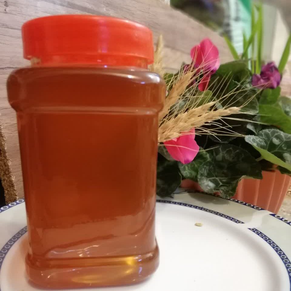 عسل انگبین، تازه و ویژه، ارسال رایگان