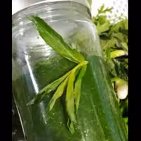 دلال ماست یا دلار خونگی درجه 1 تهیه شده از سبزی های خوش عطر شمال(500گرمی)