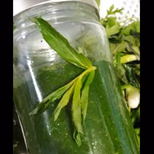 دلال ماست یا دلار خونگی درجه 1 تهیه شده از سبزی های خوش عطر شمال(500گرمی)