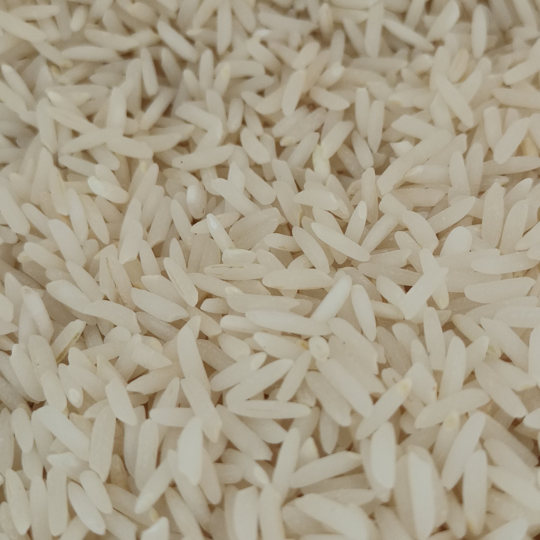 برنج طارم استخوانی